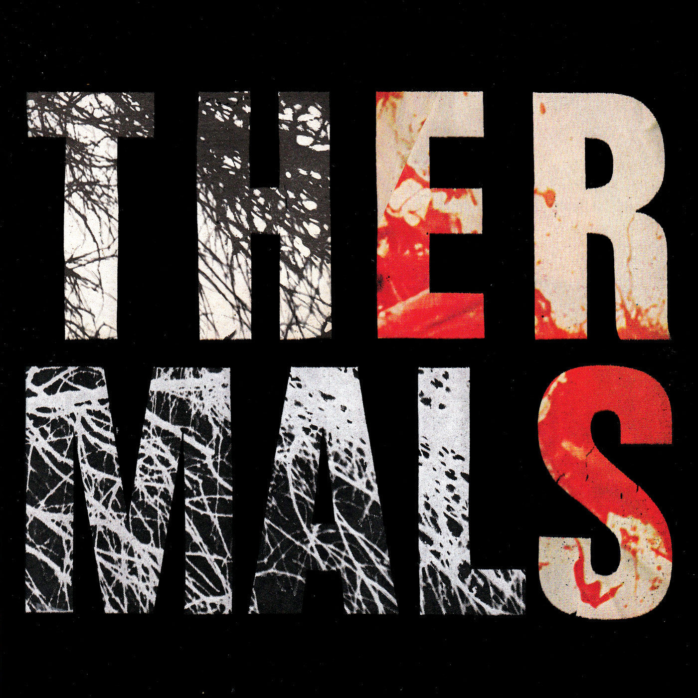 Thermals, The - Desperate Ground (CD) |-