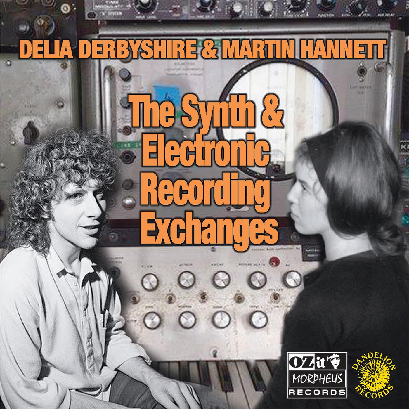 Derbyshire, Delia & Martin Hannett - The Synth And Electronic Recording Exchanges (Vinyl) | Mint (M) Mint (M)-