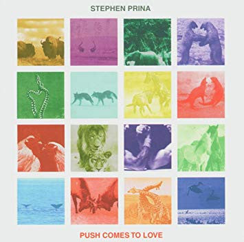Prina, Stephen - Push Comes To Love (CD) | Mint (M) Mint (M)-