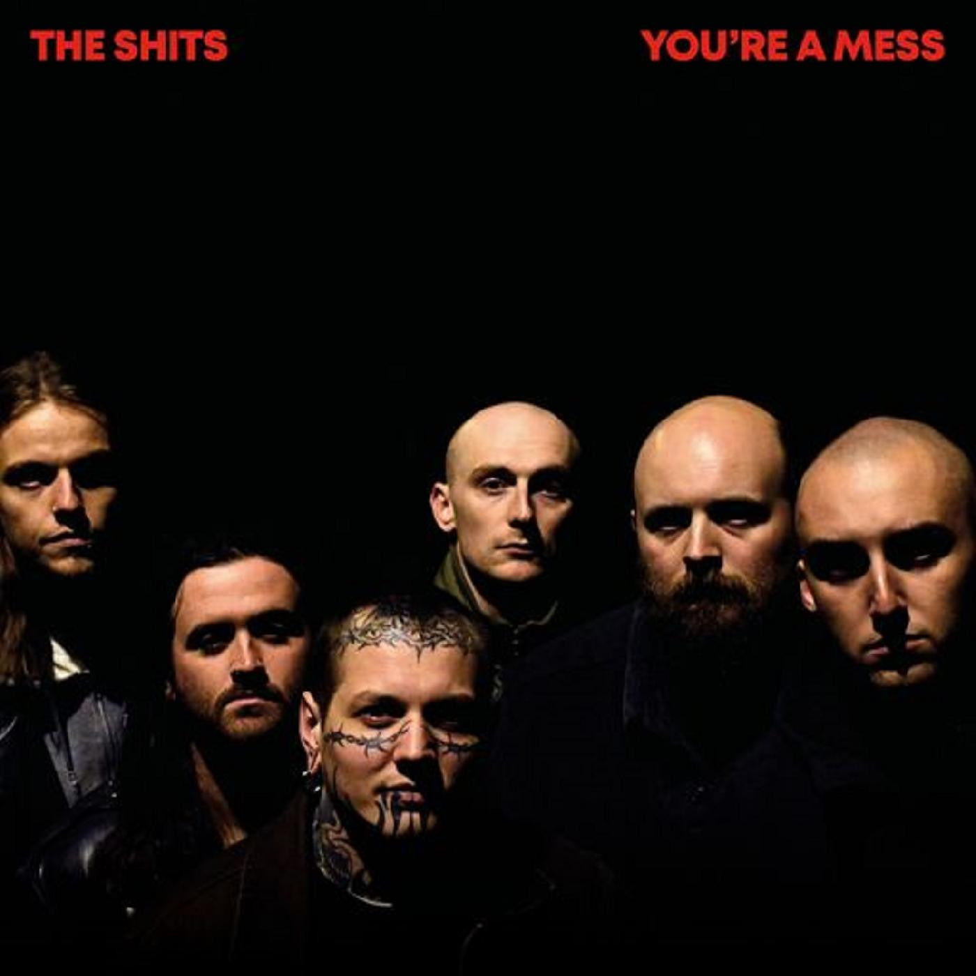 Shits, The - You're A Mess (Vinyl) | Mint (M) Mint (M)-