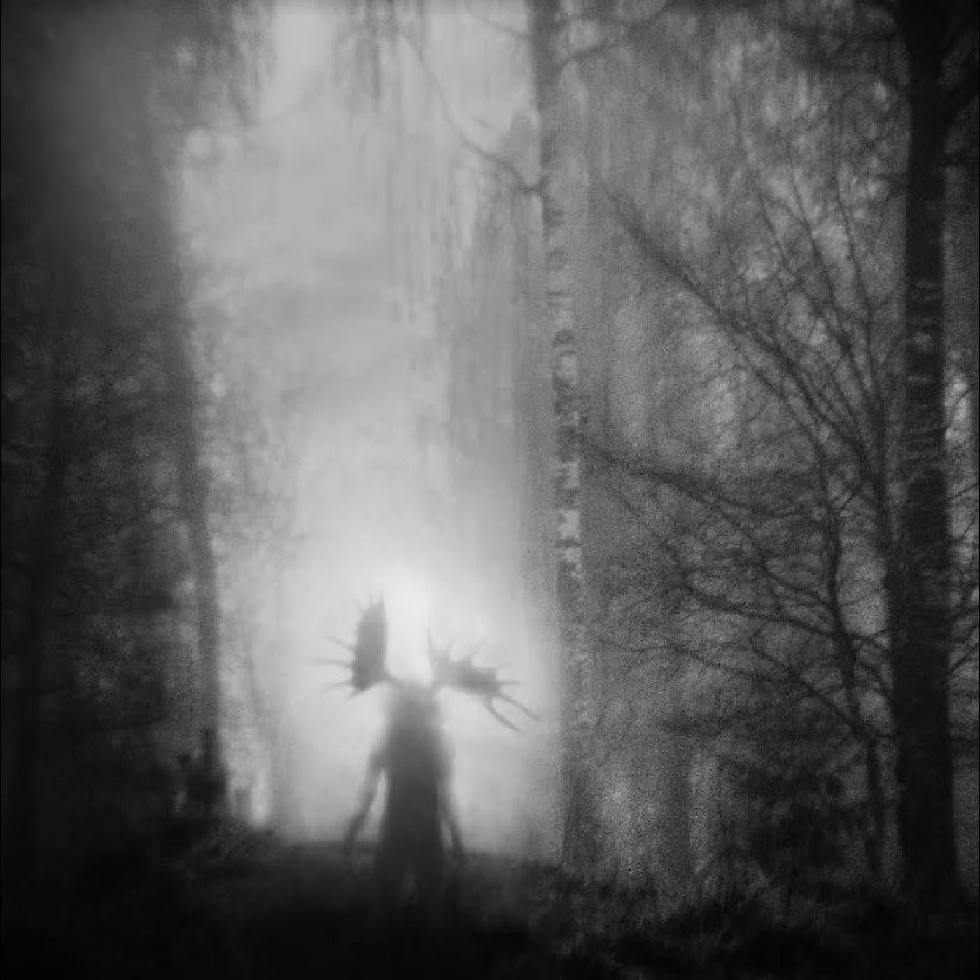 Iterum Nata - From the Infinite Light (CD) |-