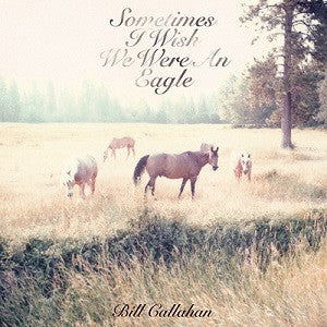 Bill Callahan - Sometimes I Wish We Were an Eagle (VINYL) | Mint (M) Mint (M)-