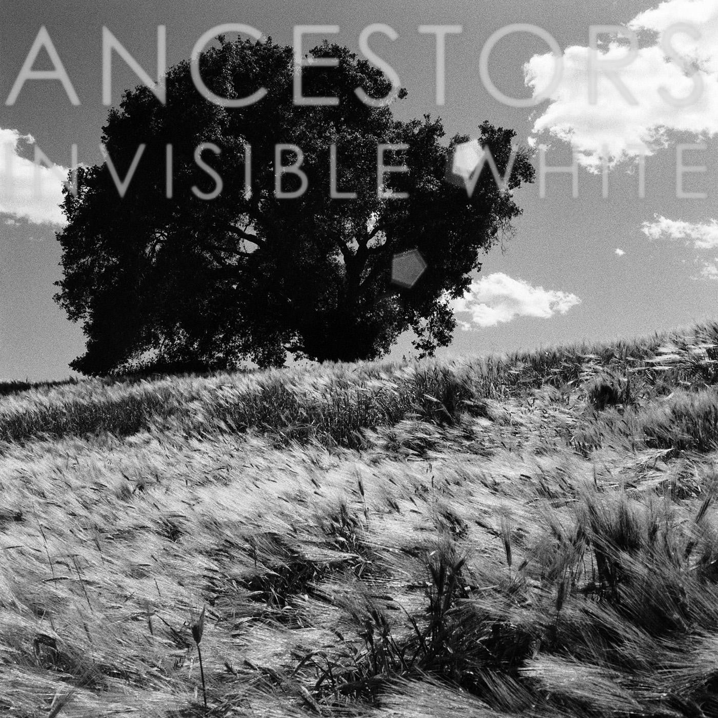 Ancestors - Invisible White (CD) |-