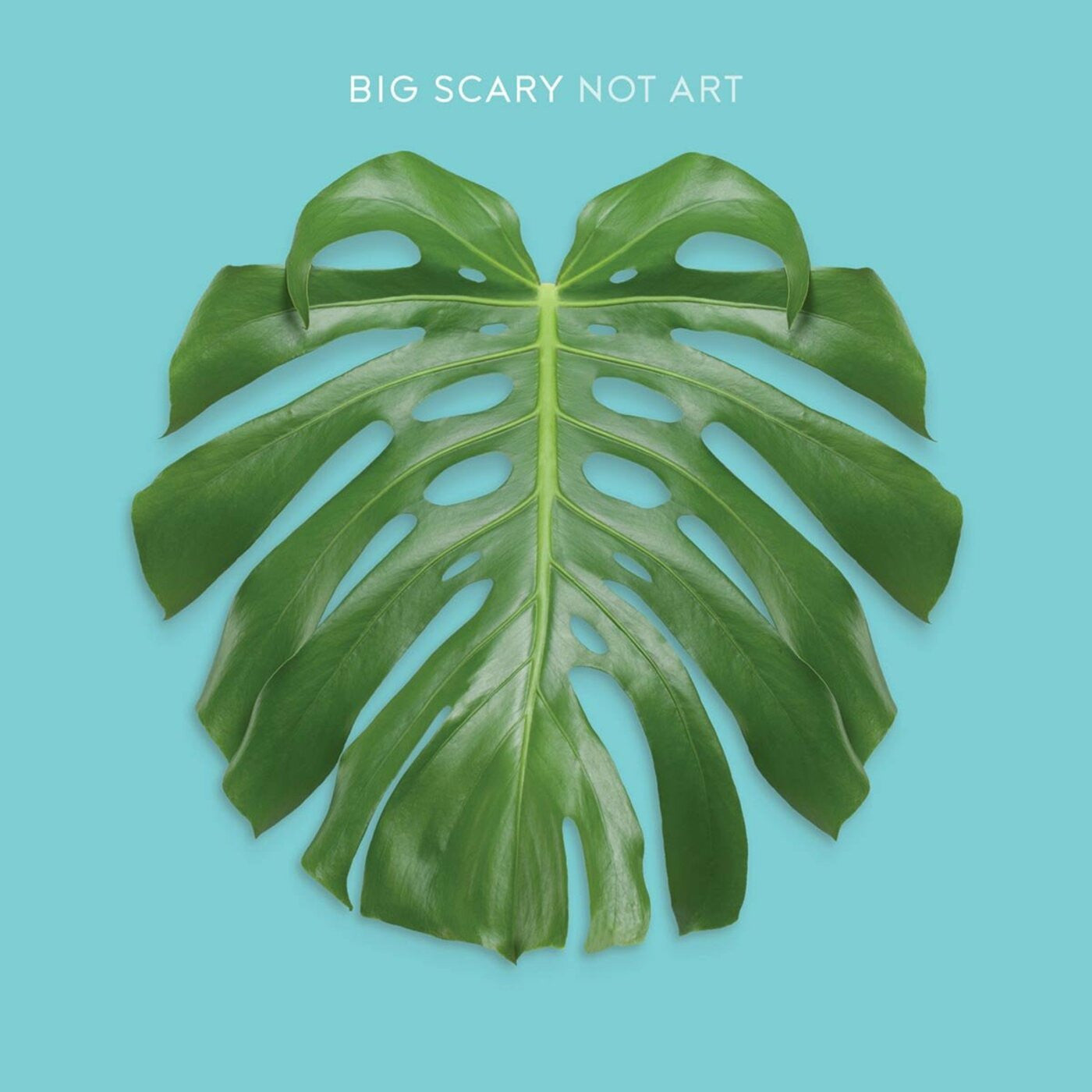 Big Scary - Not Art (CD) |-