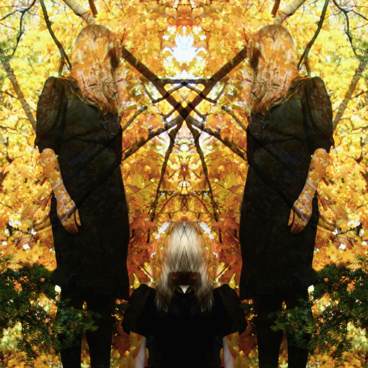 Austra - Feel It Break (CD) |-