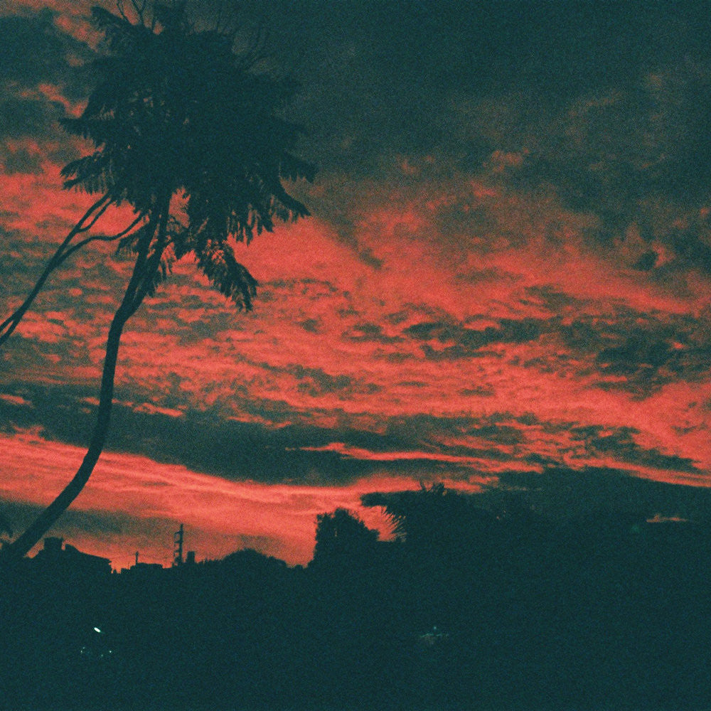 Zavala, Malena - Aliso |-