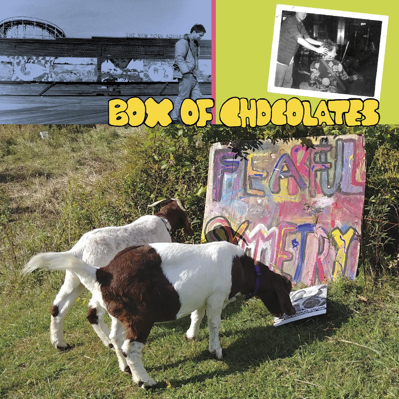 Box of Chocolates - Fearful Symmetry (Vinyl) |-