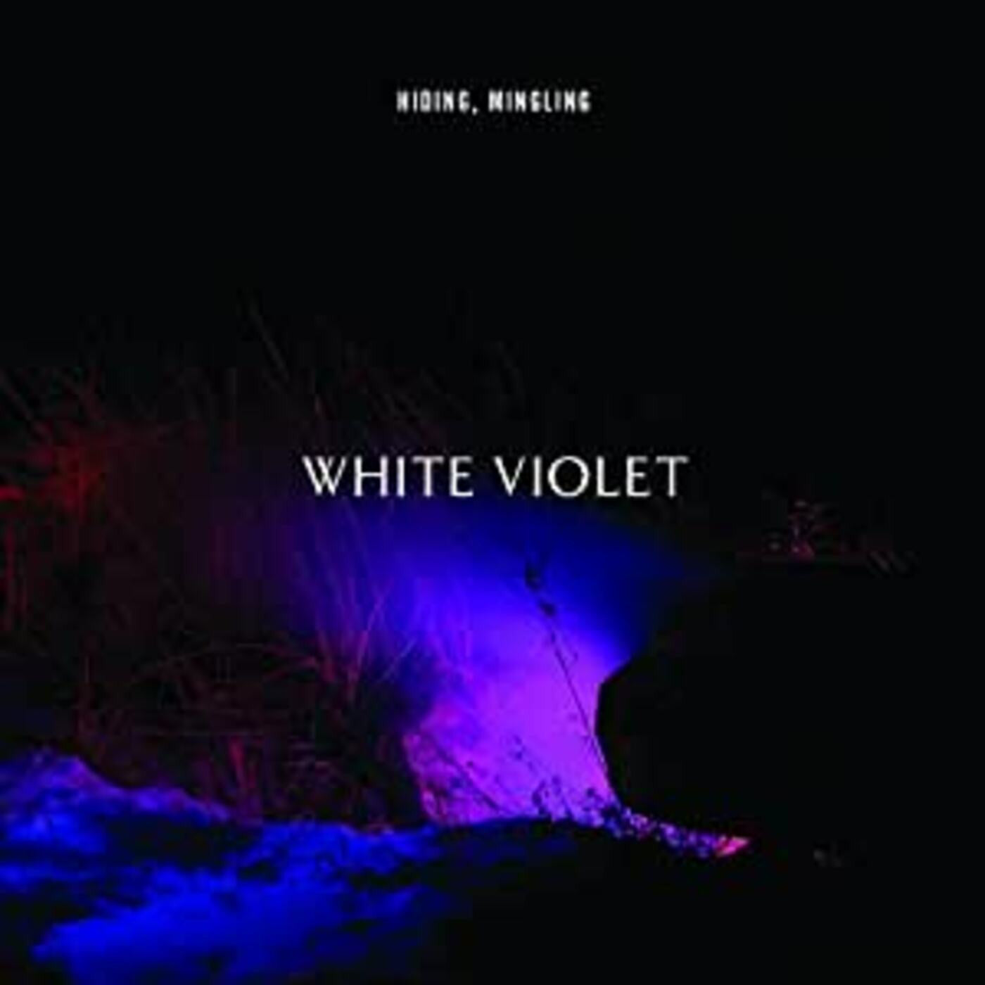 White Violet - Hiding, Mingling (CD) |-