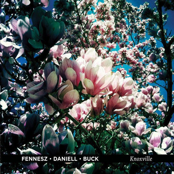 Fennesz / Daniell / Buck - Knoxville (CD) | Mint (M) Mint (M)-