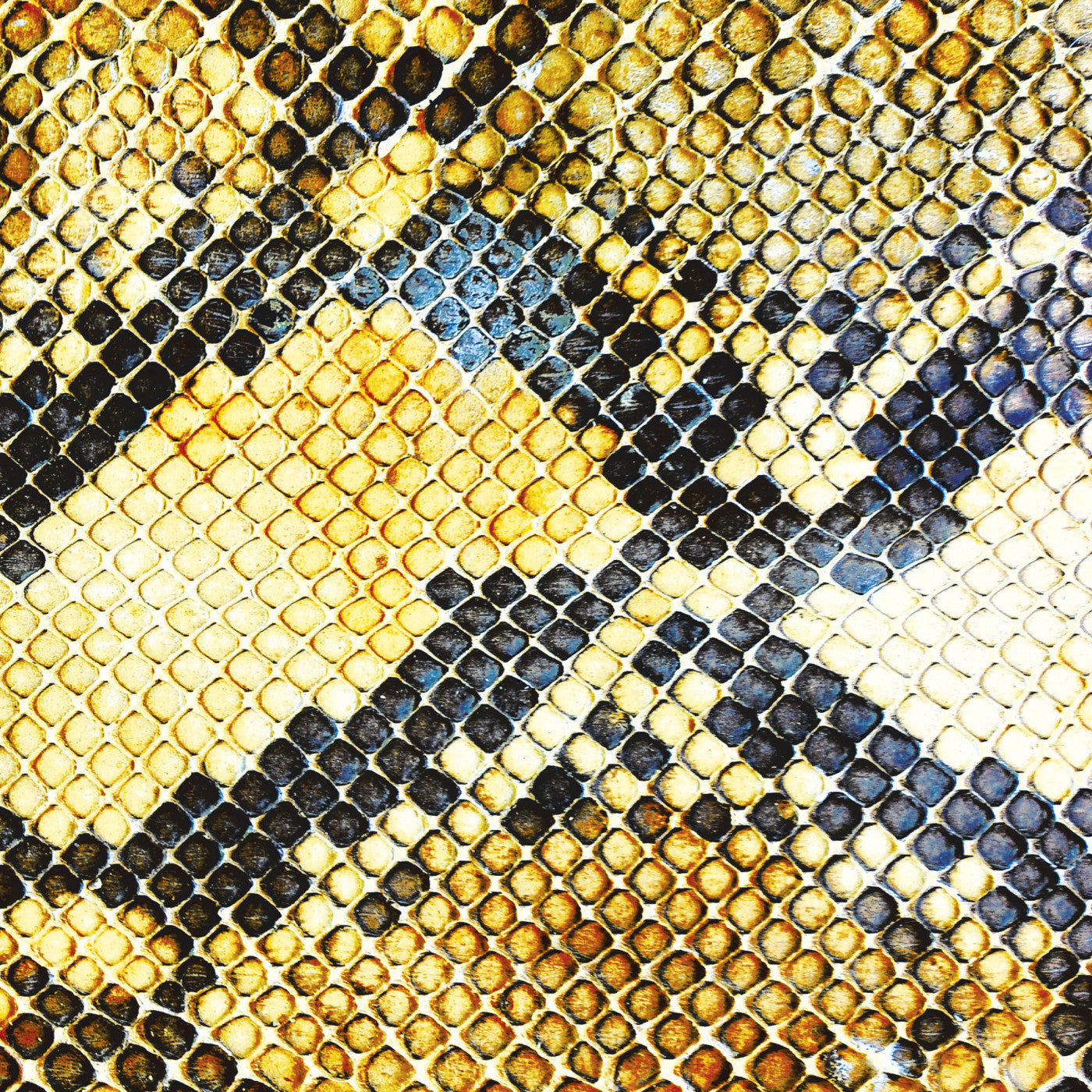 Amazing Snakeheads - Amphetamine Ballads (CD) | Mint (M) Mint (M)-