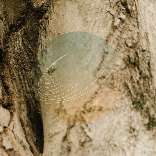Field Works - Maples Ash & Oaks: Cedars Instrumentals (VINYL) |-