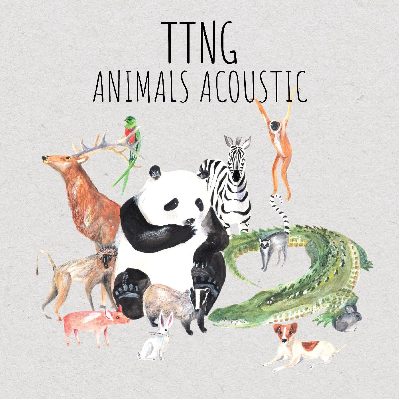 TTNG - Animals Acoustic (CD) |-