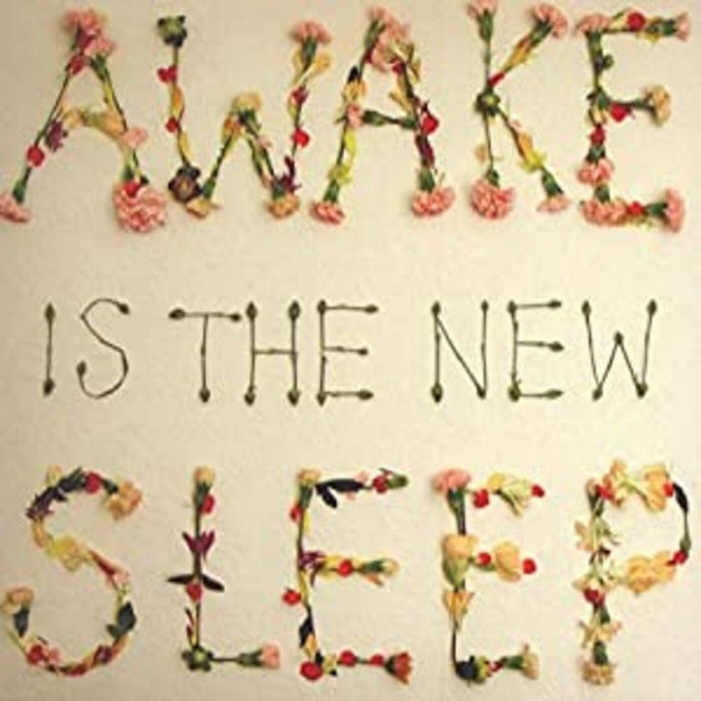 Lee, Ben - Awake Is The New Sleep (CD) |-