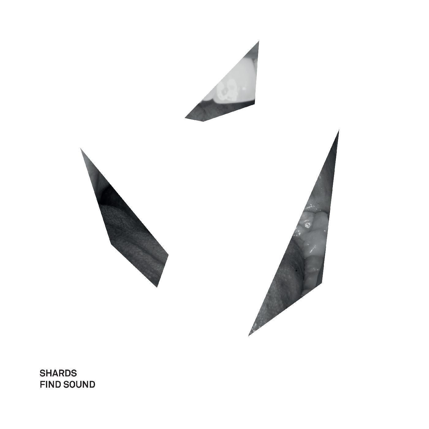 Shards - Find Sound (Vinyl) |-