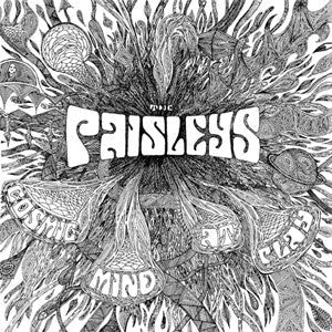 Paisleys, The - Cosmic Mind At Play |-