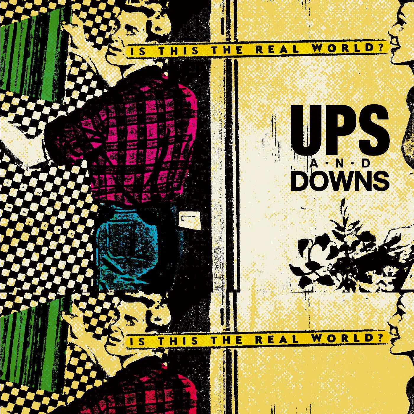 Ups and Downs - The Real World (Vinyl) | Mint (M) Mint (M)-