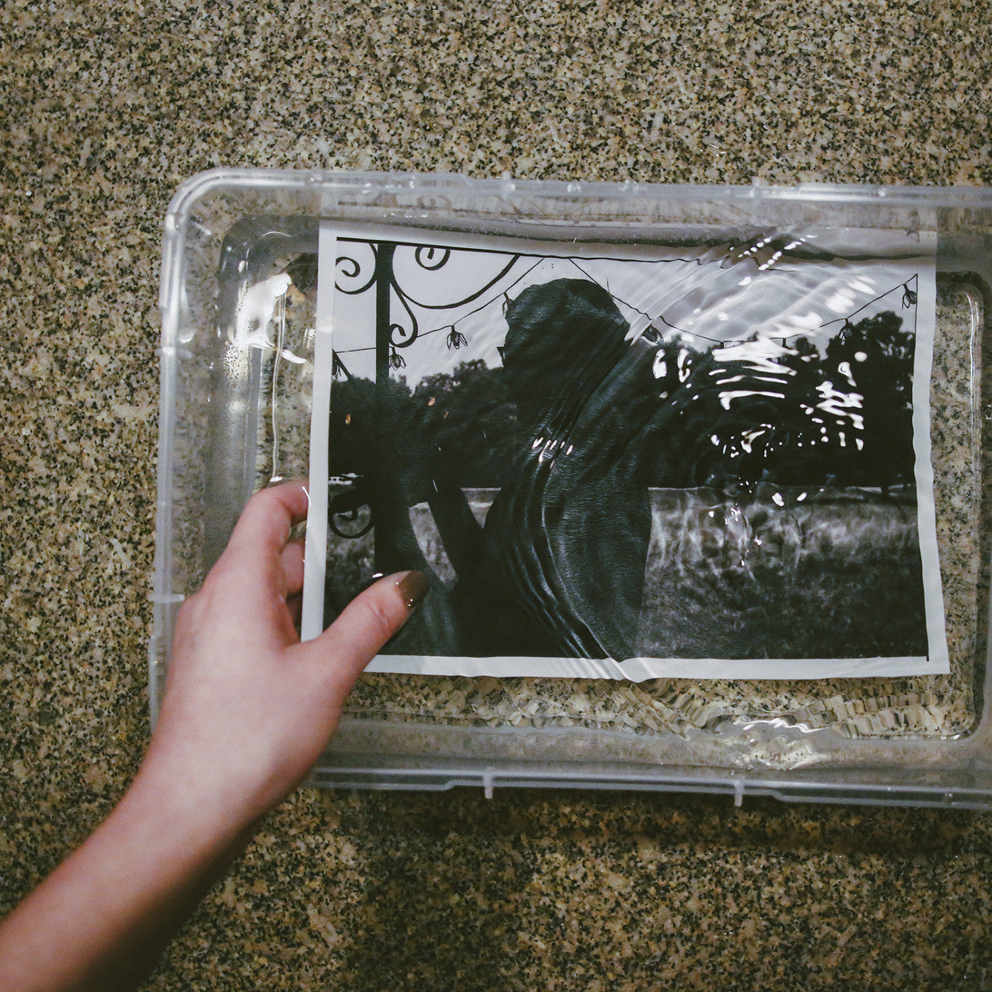 Really From - Verse (Vinyl) | Mint (M) Mint (M)-