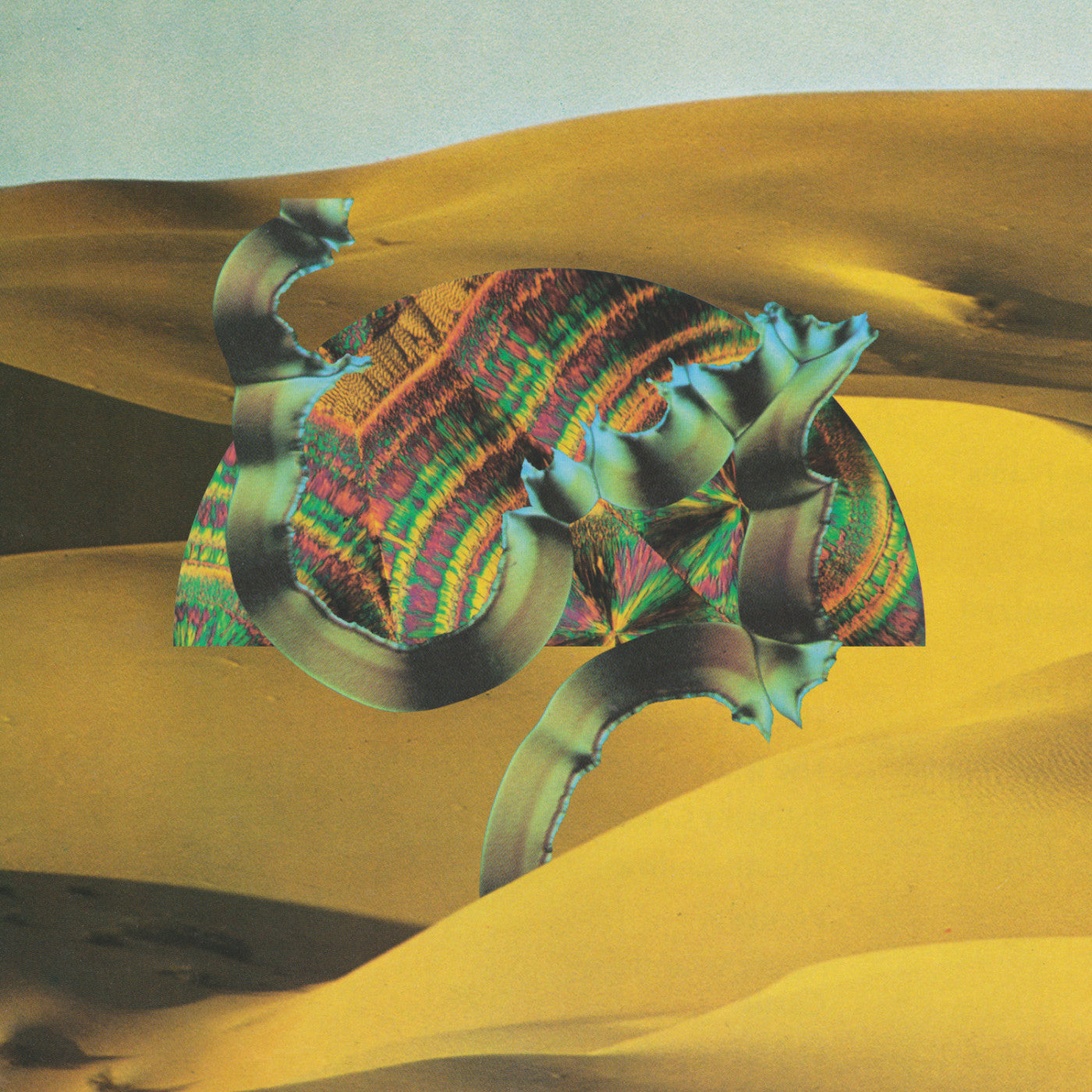 Django Django - Django Django (CD) |-