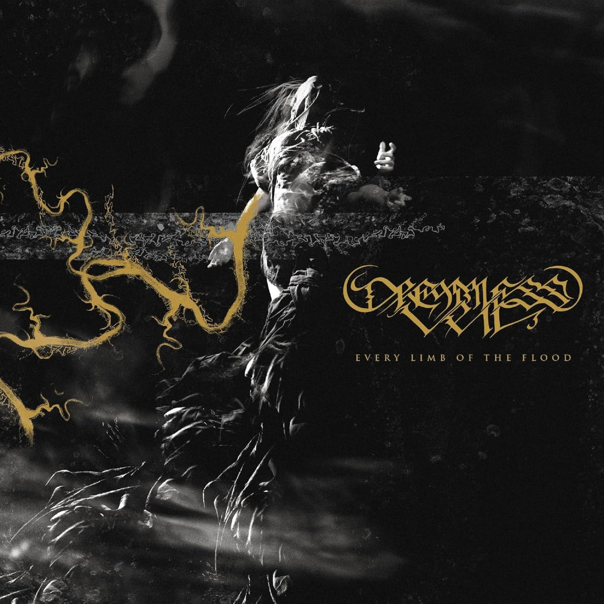 Dreamless Veil - Every Limb Of The Flood (TRANSLUCENT GOLD VINYL) | Mint (M) Mint (M)-
