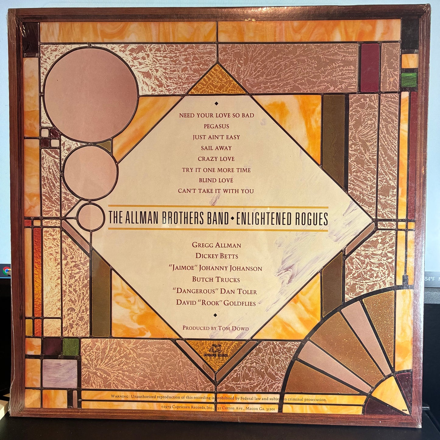 The Allman Brothers Band - Enlightened Rogues (VINYL LP Capricorn Records – CPN 0218) | NEW Mint (M) Mint (M)-