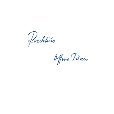 Roedelius - Offene Turen (VINYL) | Mint (M) Mint (M)-