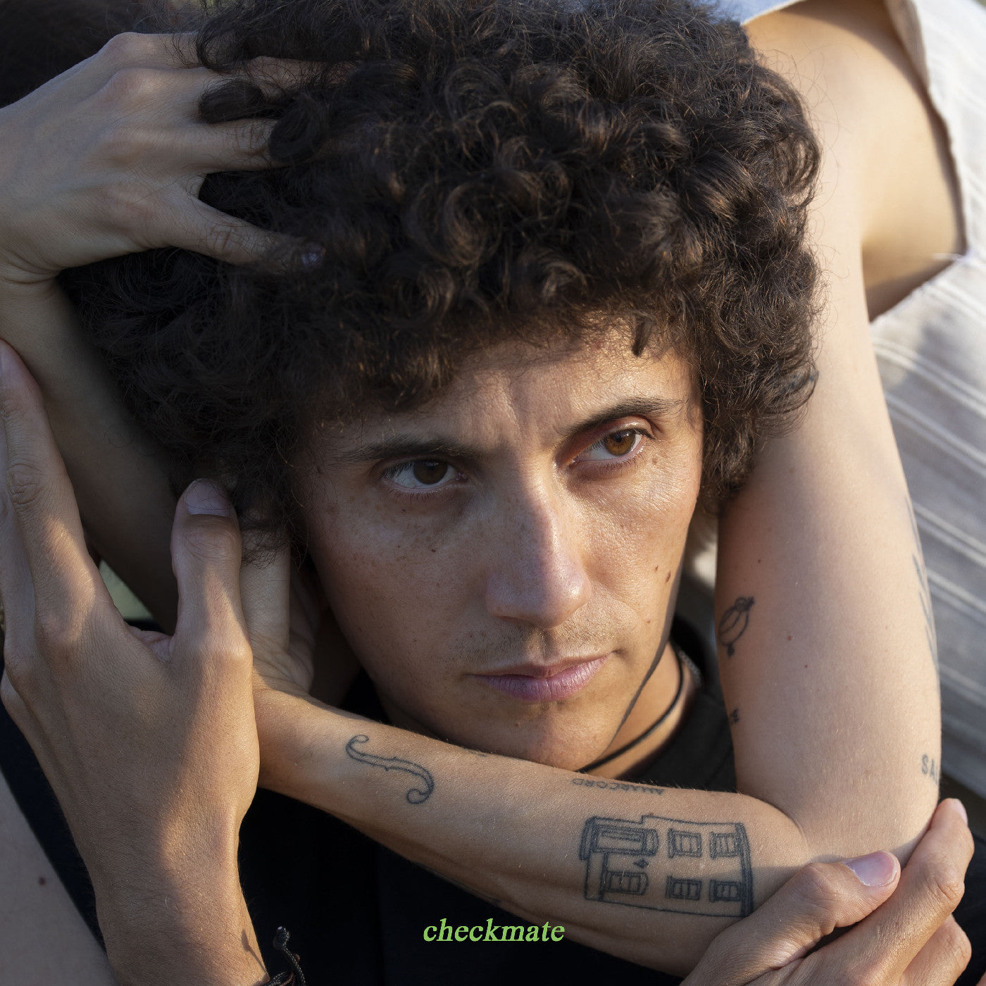 Ron Gallo - Checkmate (VINYL) | Mint (M) Mint (M)-