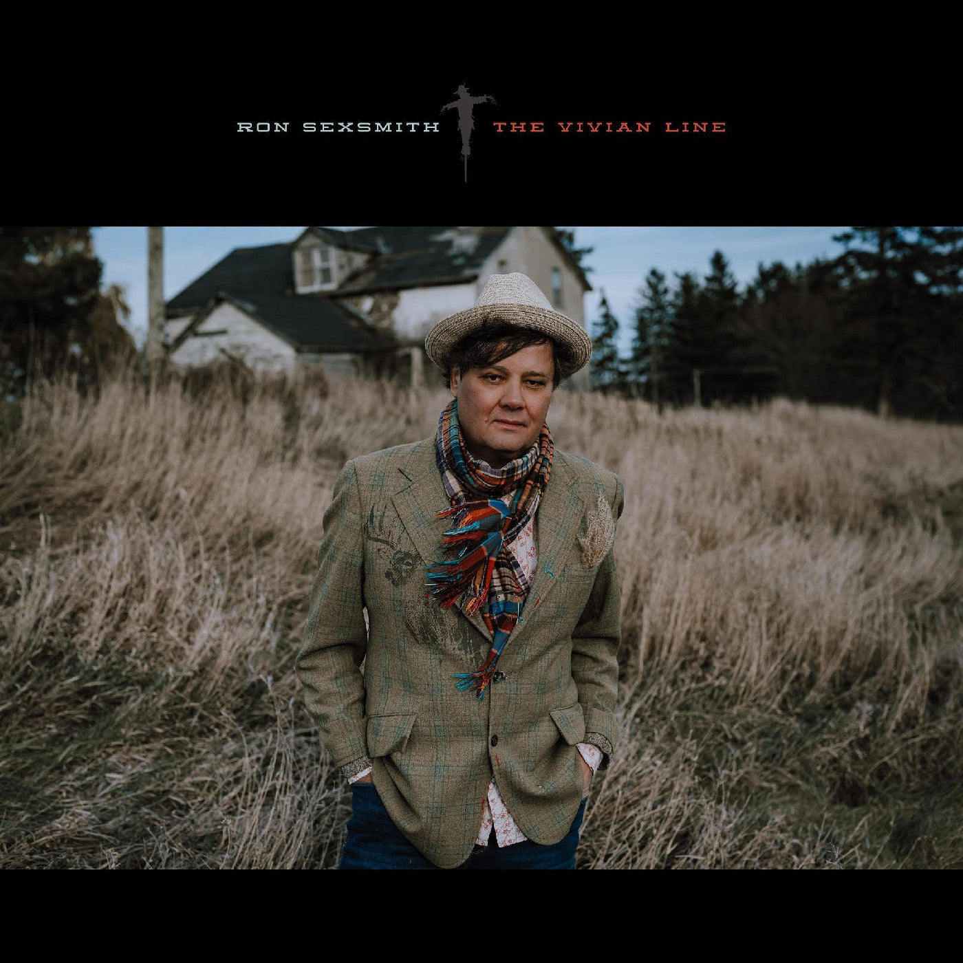 Ron Sexsmith - The Vivian Line (CD) | Mint (M) Mint (M)-