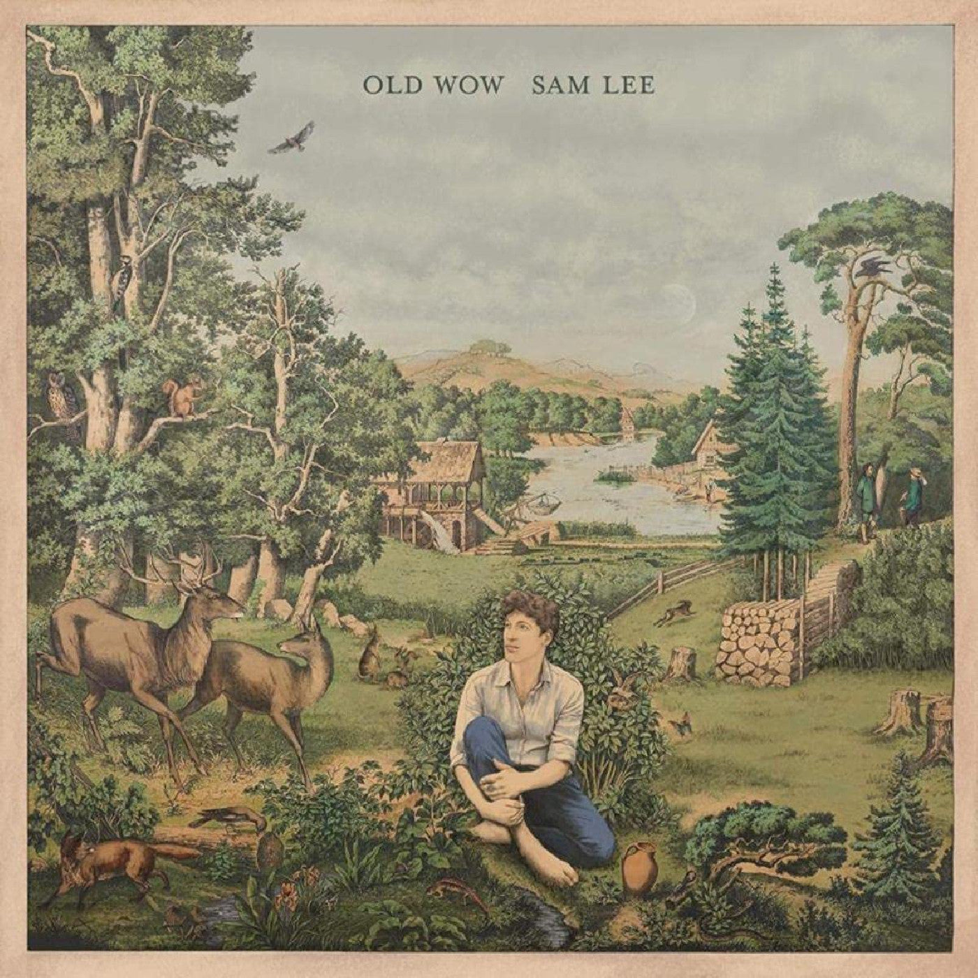Sam Lee - Old Wow (VINYL) | Mint (M) Mint (M)-