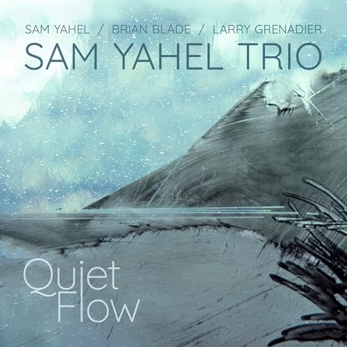 Sam Yahel - Quiet Flow |-