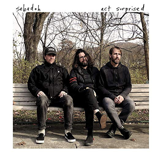Sebadoh - Act Surprised (VINYL) | Mint (M) Mint (M)-