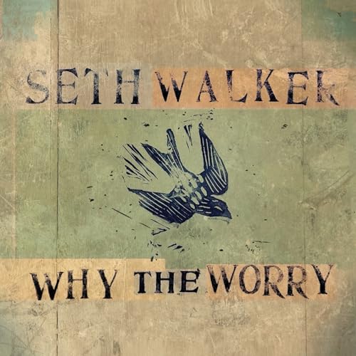 Seth Walker - Why The Worry |-