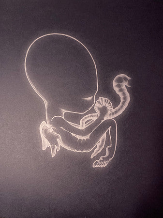 Sigur Rós - Ágætis Byrjun (COLOR VINYL - VMP) | Mint (M) Mint (M)-