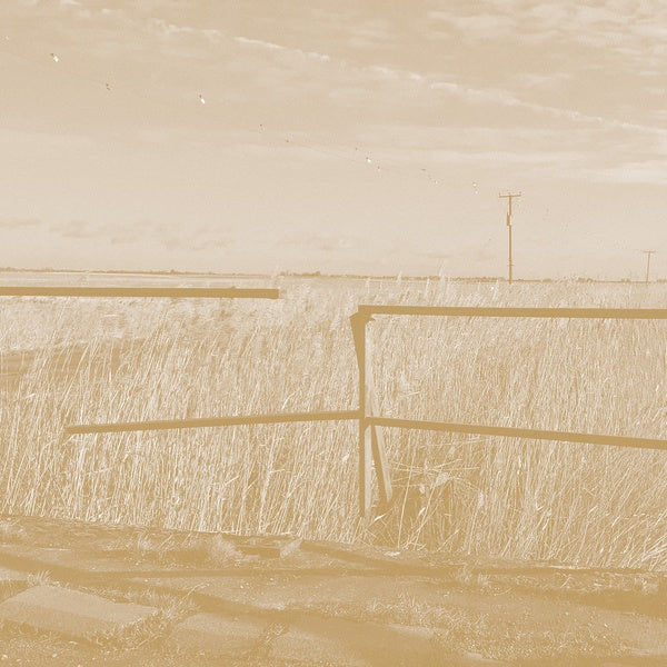 SIMON SCOTT - Long Drove |-