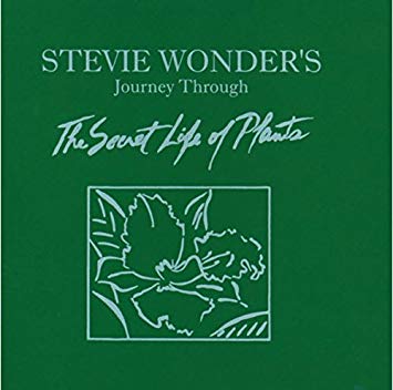 Stevie Wonder - Journey Through The Secret Life Of Plants (2LP 180g Vinyl) | Mint (M) Mint (M)-