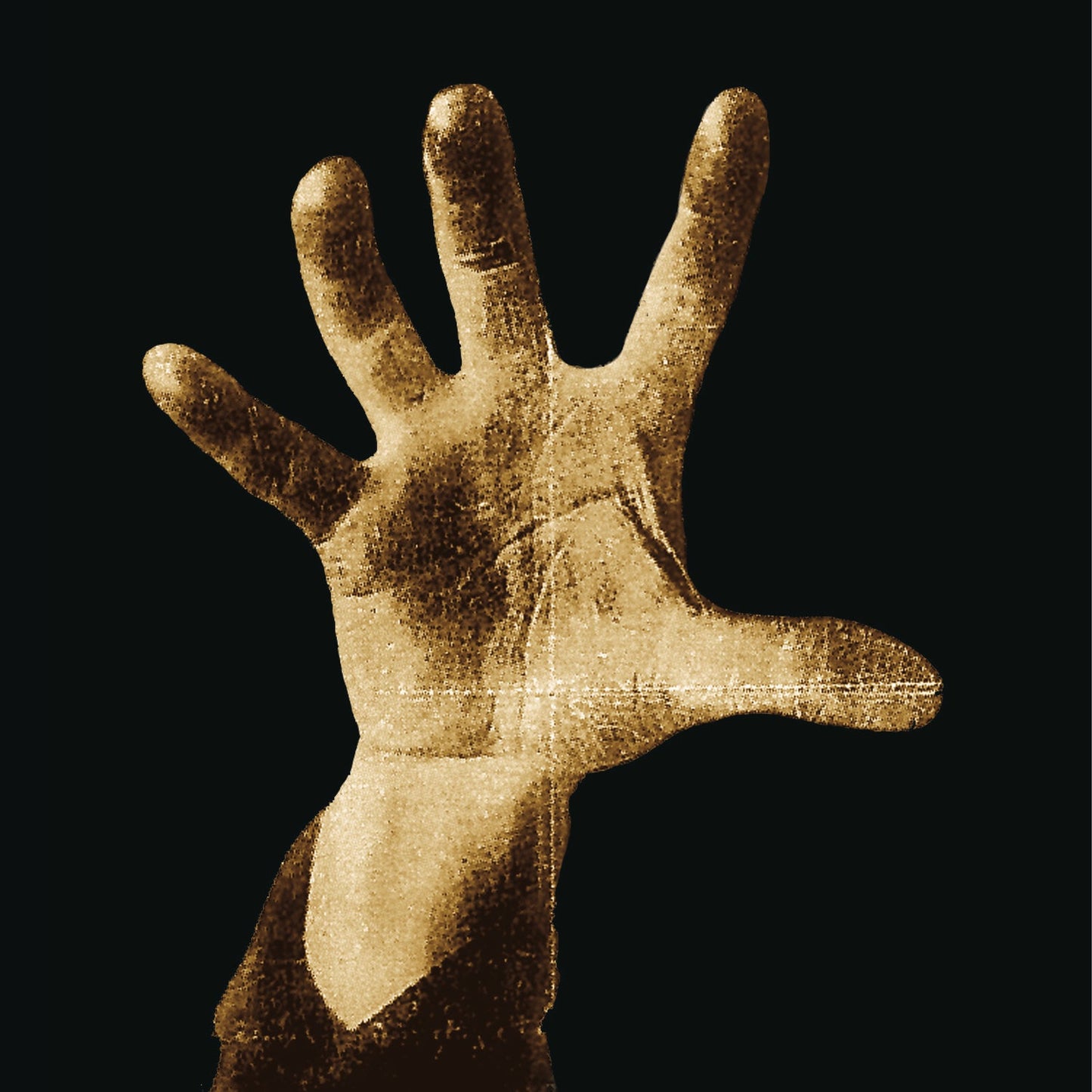 System Of A Down - System Of A Down (140g Vinyl) | Mint (M) Mint (M)-