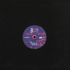 Len Lewis - Joy / Skip Up (VINYL 12" Physical Education PE006) | Mint (M) Mint (M)--