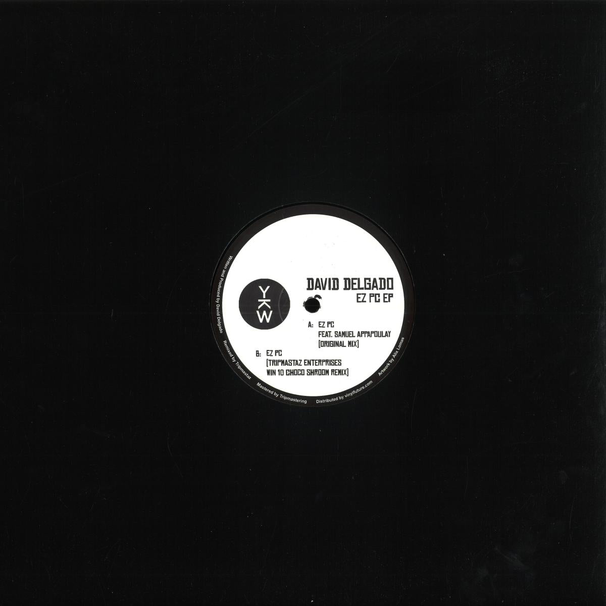 David Delgado - EZ PC EP (VINYL 12") | Mint (M) Mint (M)--