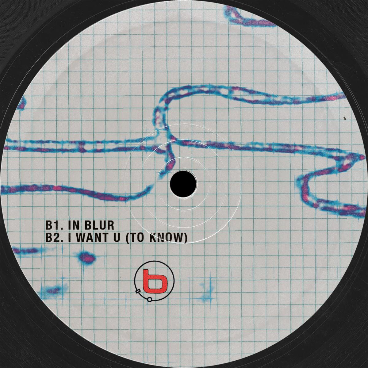 Bliss Inc. - (PRESALE 09/04/26) echo-chambered (VINYL 12" Punctuality PNCT011 2026) | NEW--