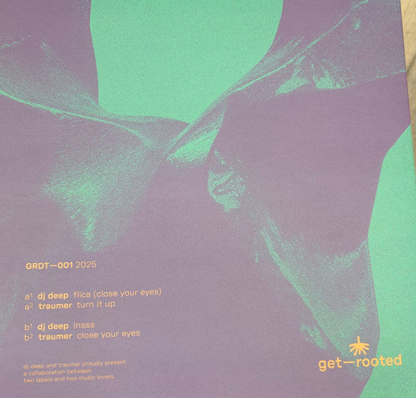 Get-Rooted 01 (VINYL) | Mint (M) Mint (M)--