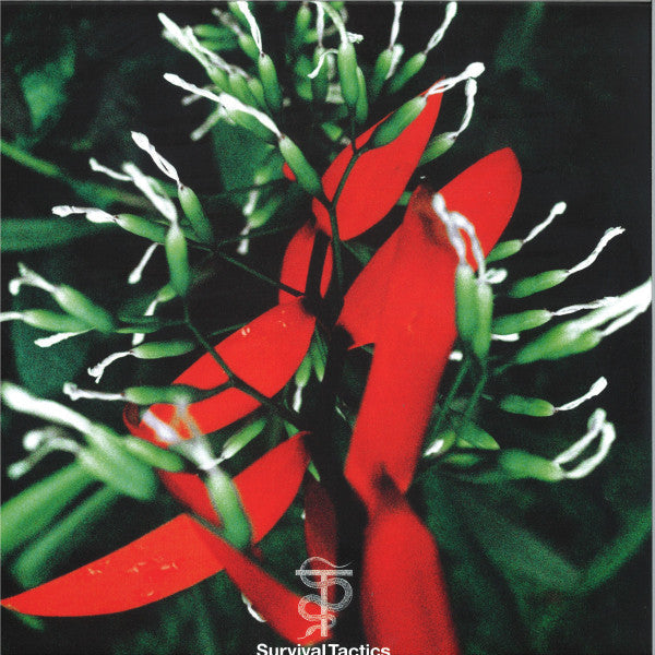 Everybody (VINYL) | Mint (M) Mint (M)--