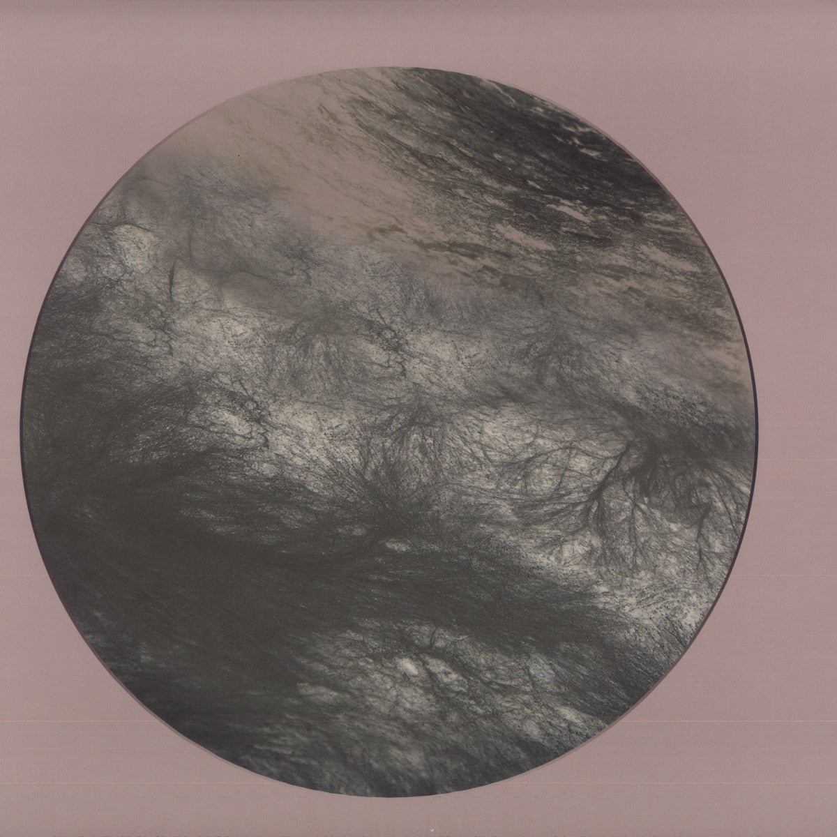 Flesh Of The Gods Remixes (VINYL) |--