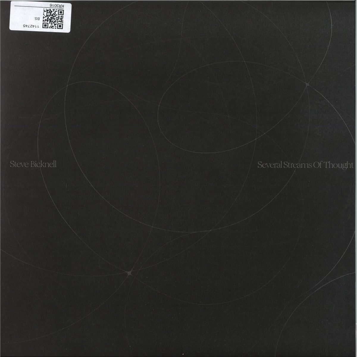 Steve Bicknell - Several Streams Of Thought (2xVINYL) | Mint (M) Mint (M)--