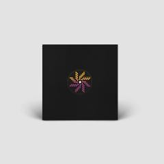 Glaskin - Inertia of Motion (VINYL 12") | Mint (M) Mint (M)--