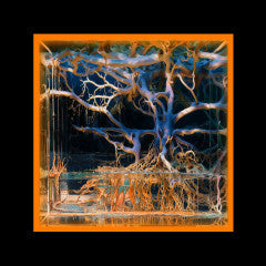 Batu (2) - Question Mark (VINYL) | Mint (M) Mint (M)--