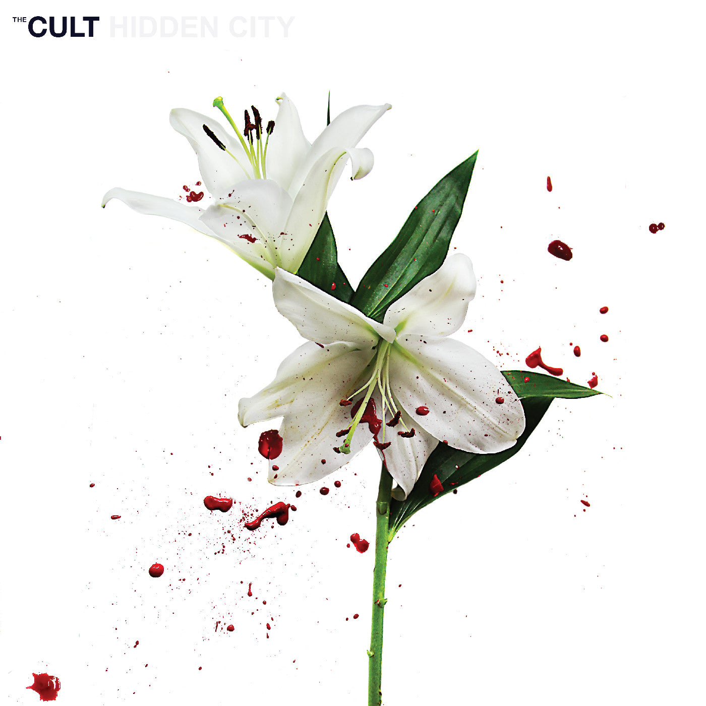 The Cult - Hidden City (CV 45 Audiophile Edition 2x VINYL) | Mint (M) Mint (M)-