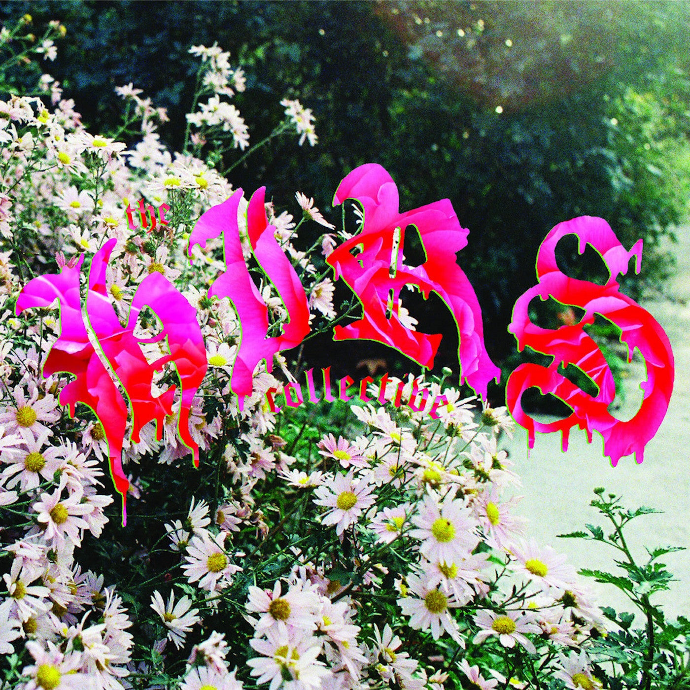 The HIRS Collective - We'Re Still Here (White VINYL) | Mint (M) Mint (M)-