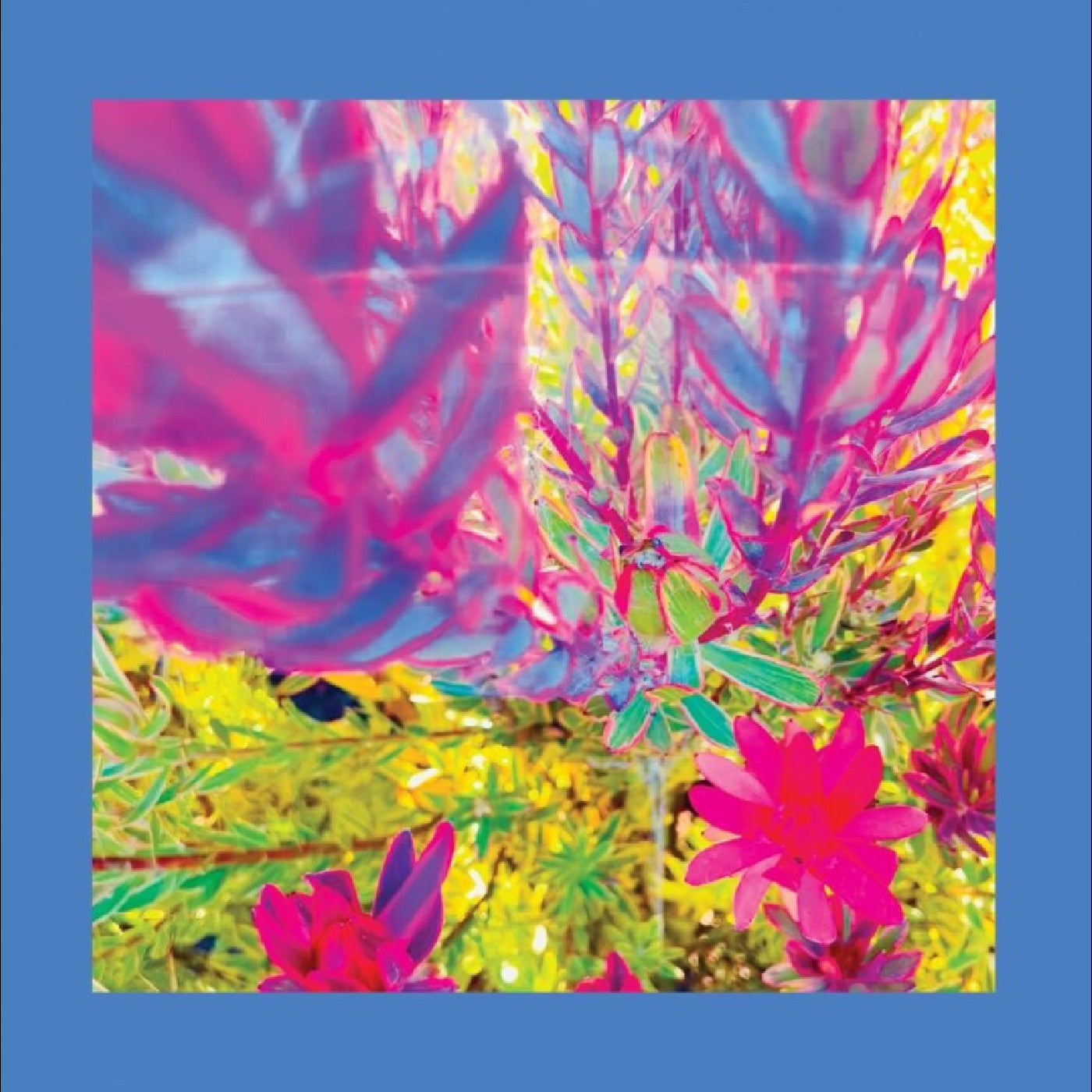 The Reds Pinks & Purples - The Past Is A Garden I Never Fed (Sky Blue Vinyl) | Mint (M) Mint (M)-