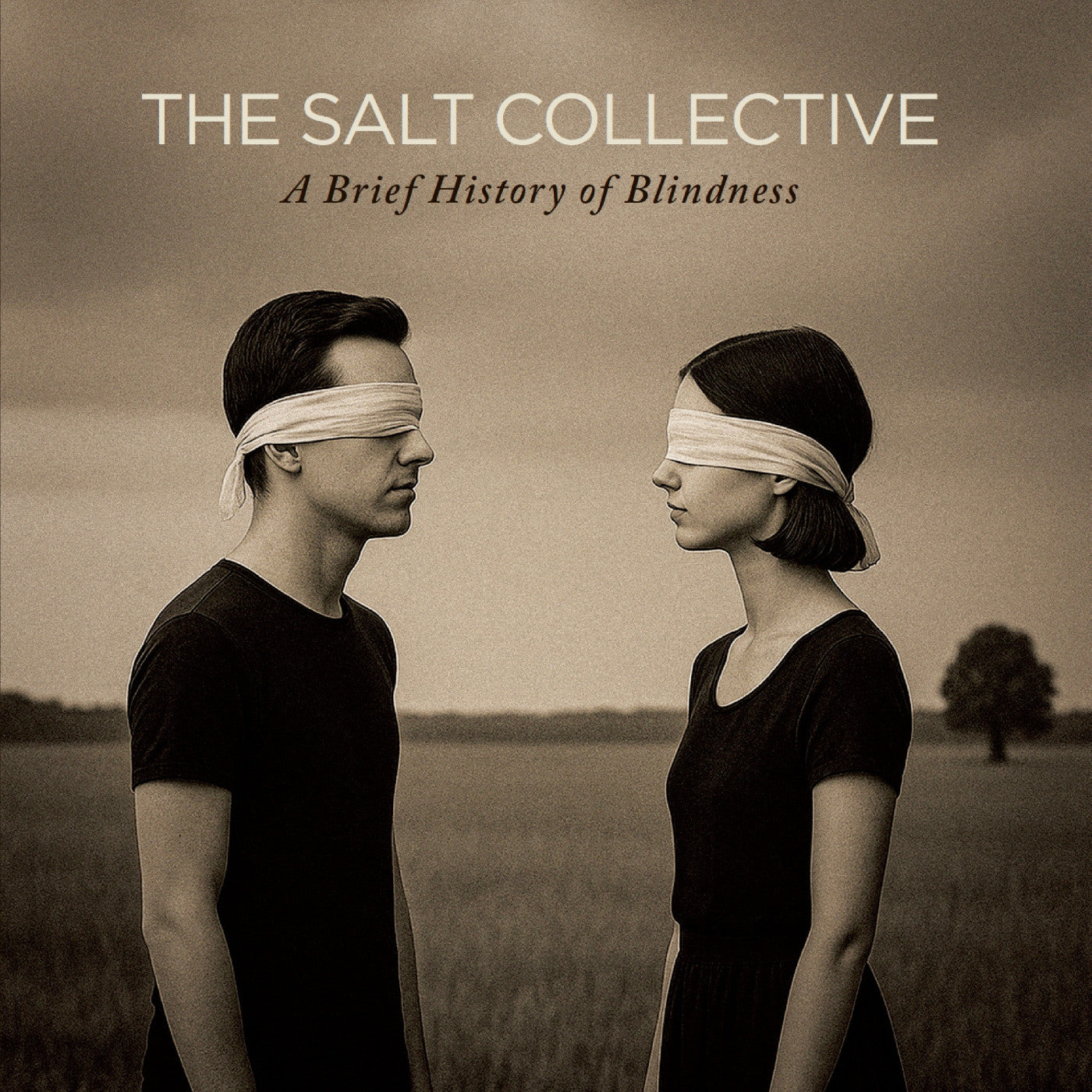 The Salt Collective - A Brief History Of Blindness (CD) | Mint (M) Mint (M)-