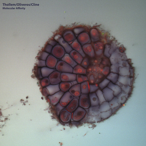 THOLLEM MCDONAS/PAULINE OLVEROS/NELS CLINE - Molecular Affinity |-