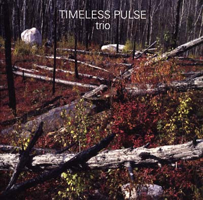 TIMELESS PULSE - Trio |-